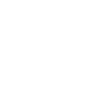 MotorizedShading_White