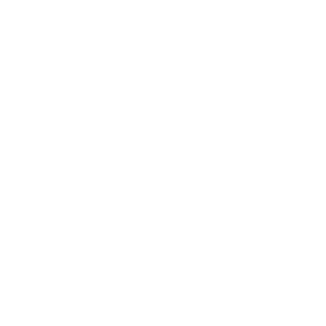 Security_White