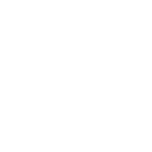 Surveillance_White